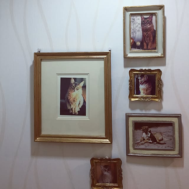 shihoさんの実例写真