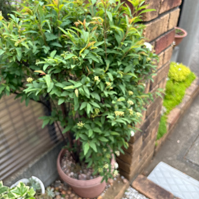 nannoさんの部屋