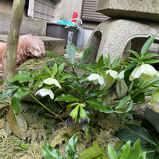 sugichanさんの部屋