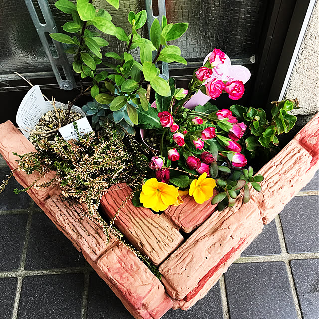 Umichanさんの実例写真