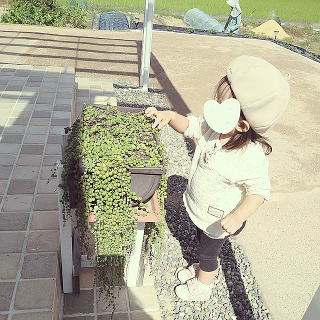 mariさんの実例写真