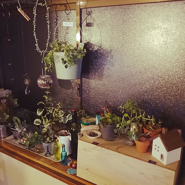 部屋全体/植物/雑貨/観葉植物/多肉植物...などのインテリア実例 - 2015-12-08 17:32:35