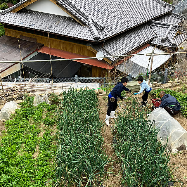 koshiregutyoさんの部屋