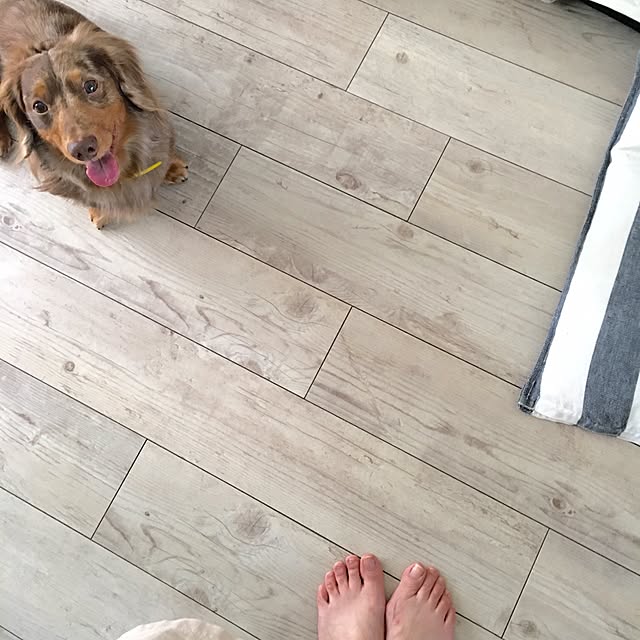 mizukiさんの実例写真