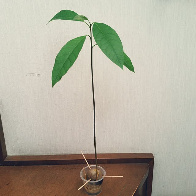 TAKUさんの実例写真