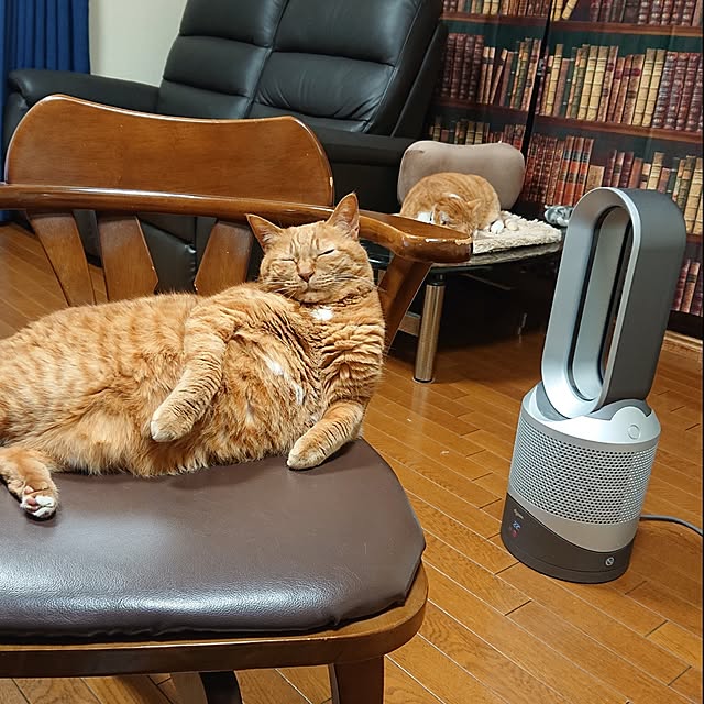 NOAHさんの実例写真