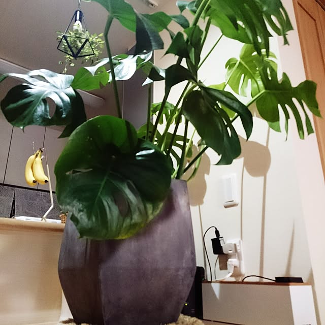pino25さんの実例写真