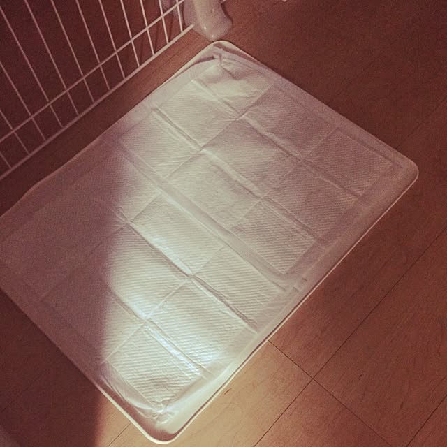 yo-chinさんの実例写真