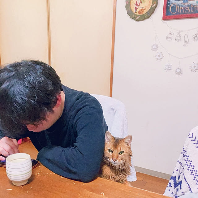 yukarinさんの実例写真