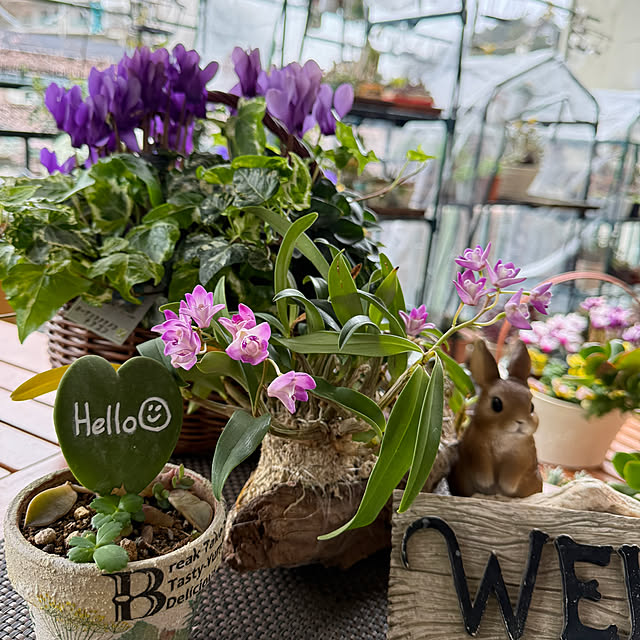 Aqettyさんの部屋