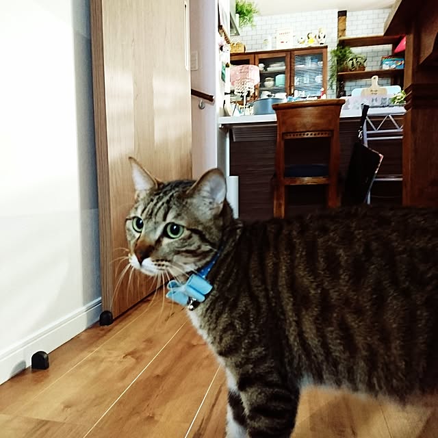 poniさんの実例写真