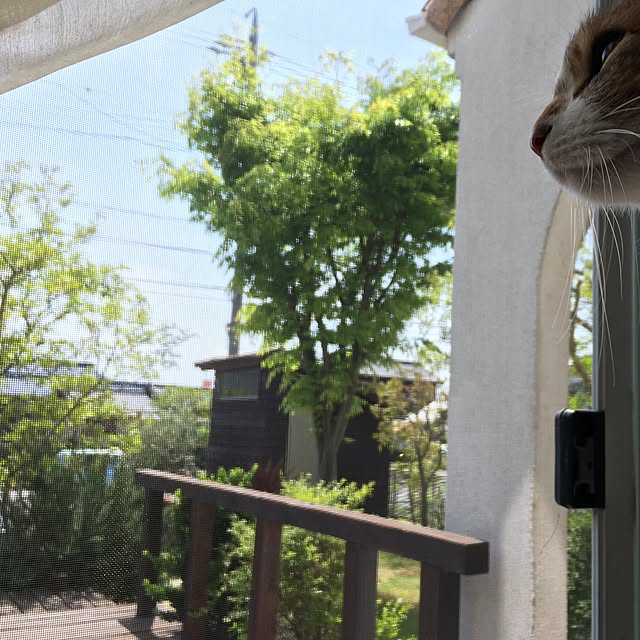 mojohandさんの実例写真