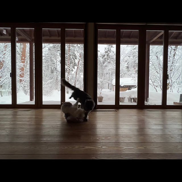 Kikko.さんの実例写真