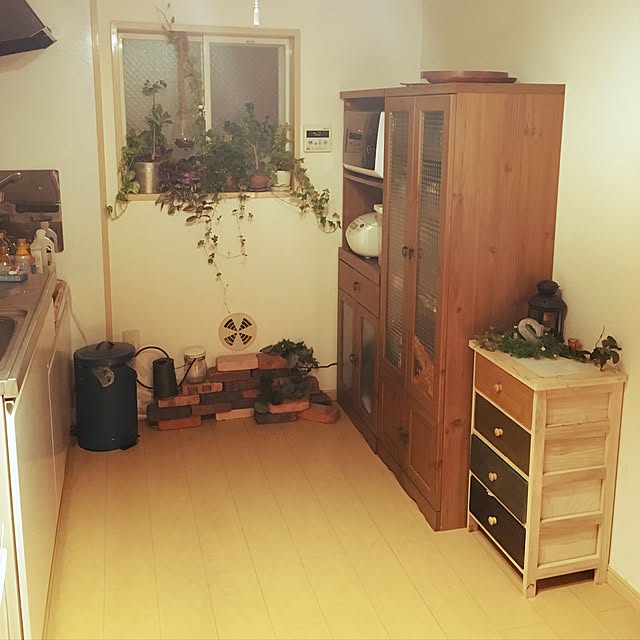 キッチン/一人暮らし/照明/DIY/観葉植物...などのインテリア実例 - 2016-12-13 00:12:43