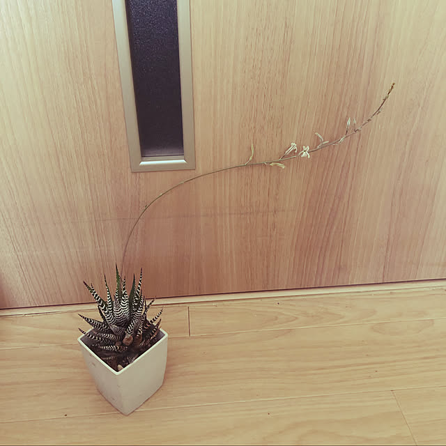 charさんの実例写真