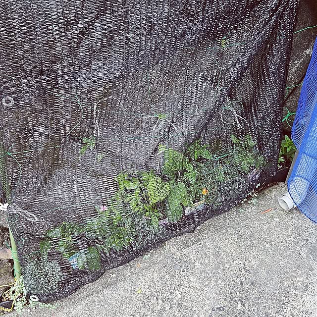 mocomocoさんの部屋