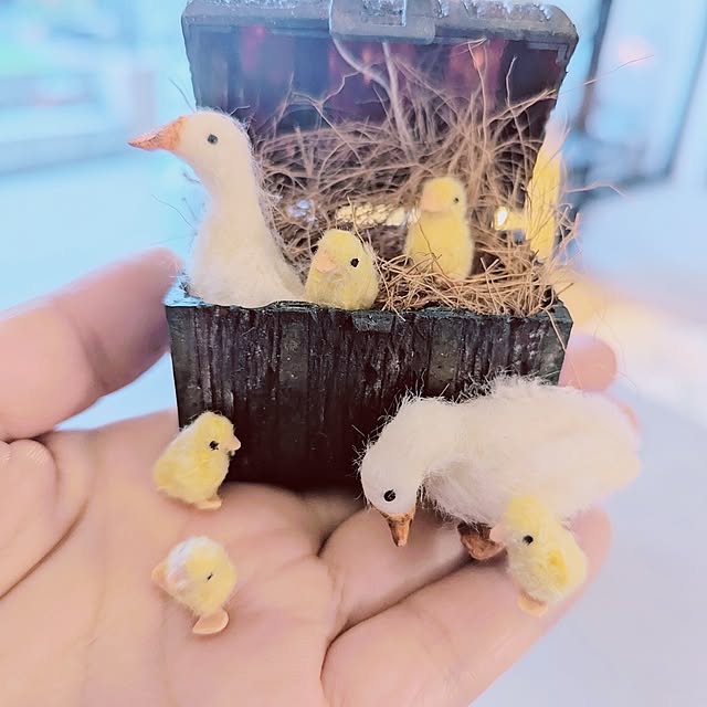 noahさんの部屋
