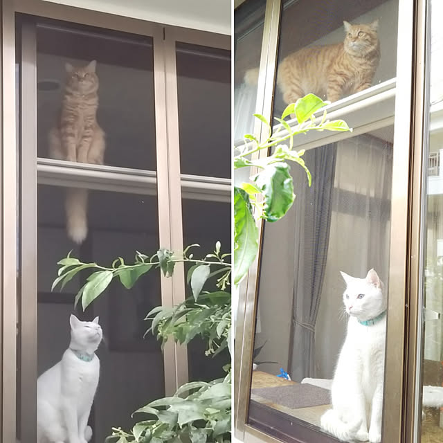 gabさんの実例写真
