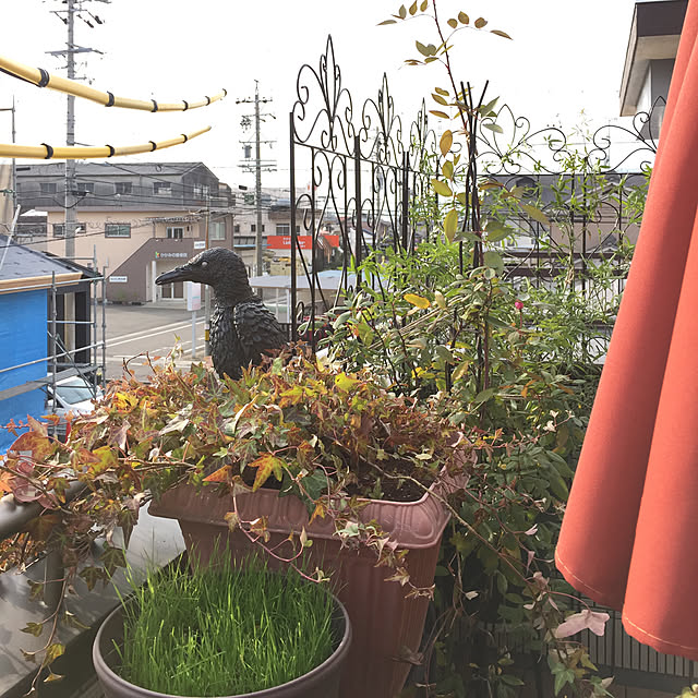 nonさんの実例写真