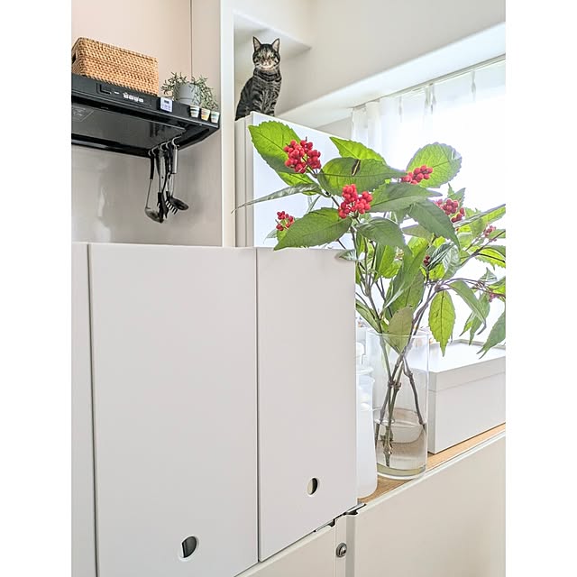 hihaさんの部屋