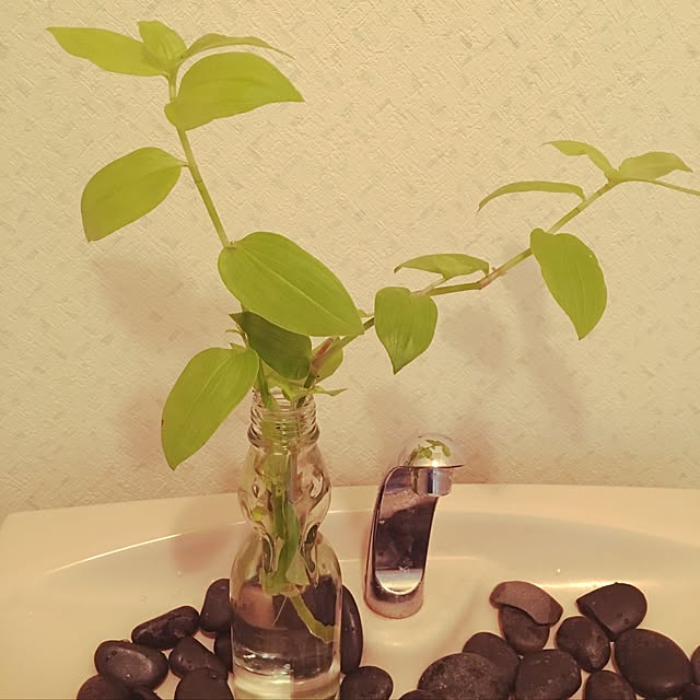 katesu1126さんの実例写真