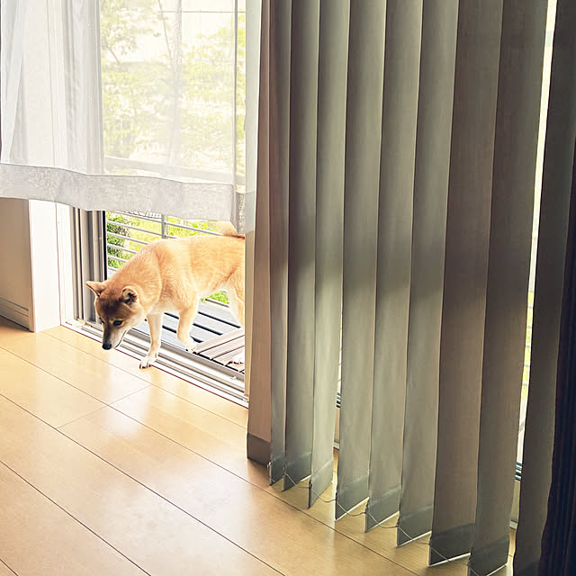 dmamaさんの実例写真