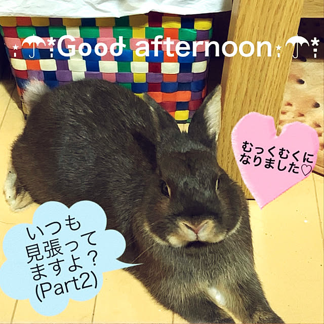 mo-nosukeさんの実例写真