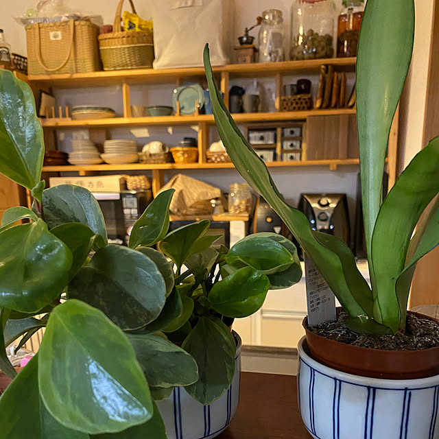 kotaroさんの部屋
