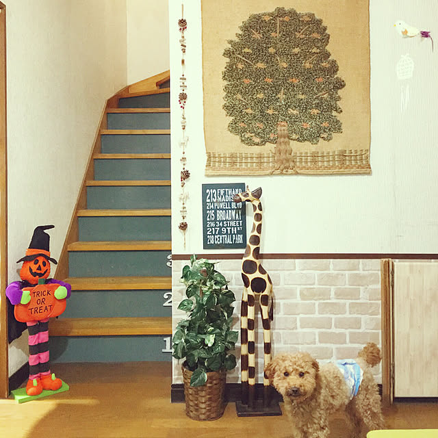 tommyさんの実例写真