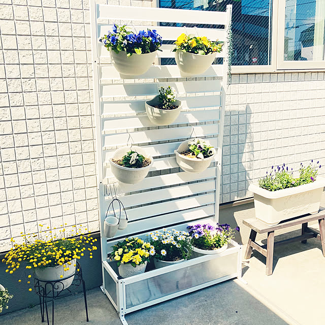 minminさんの部屋