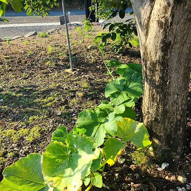Rubiconさんの部屋