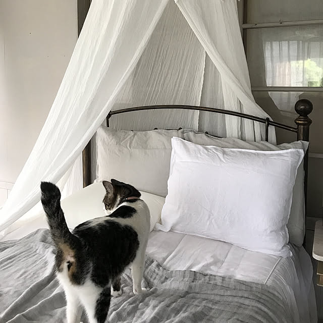 Shihoさんの実例写真