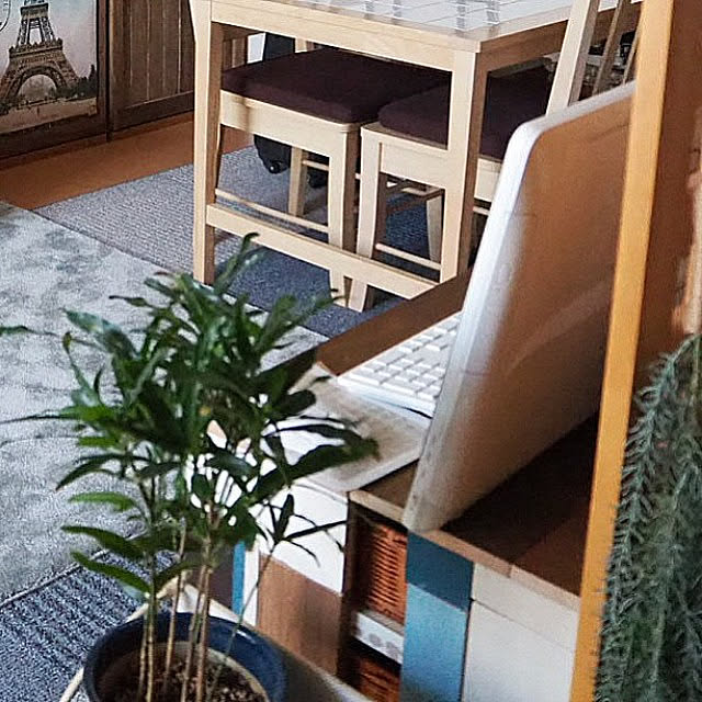 toukoさんの実例写真