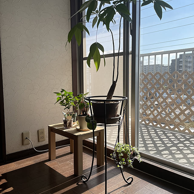 miki8160さんの実例写真