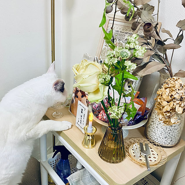 YUKAさんの部屋