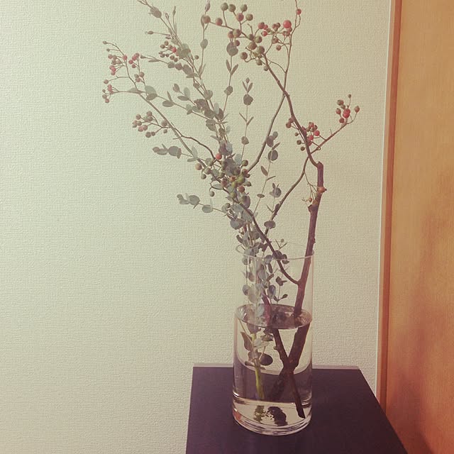 t_horryさんの実例写真