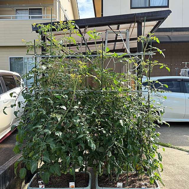 ritsukoさんの部屋