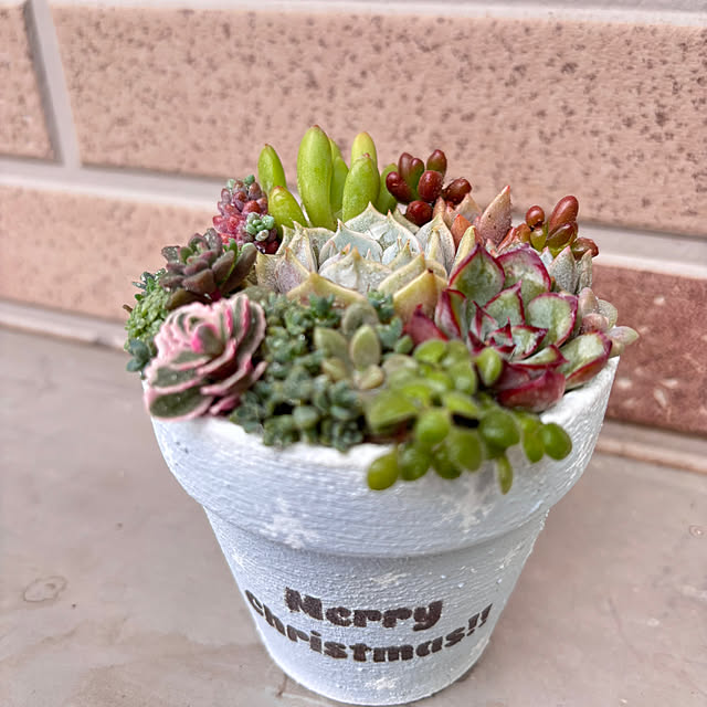 mikanさんの実例写真