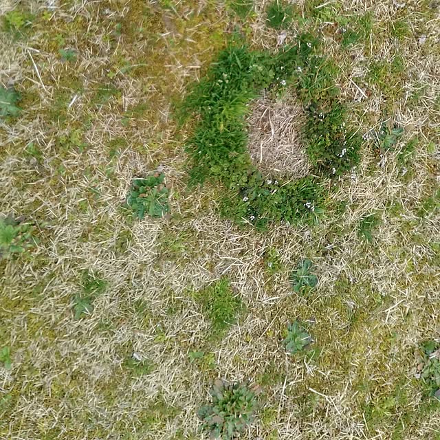 玄関/入り口のインテリア実例 - 2017-04-06 15:37:58