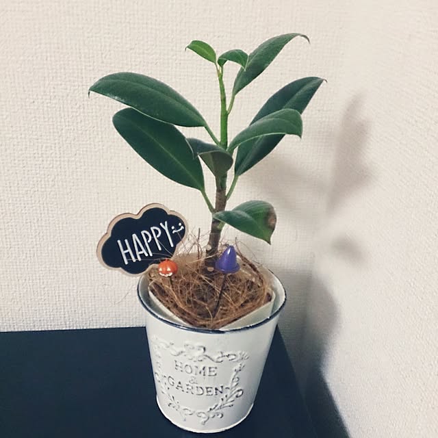 kaanaさんの実例写真