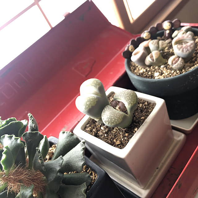 Sunocoさんの実例写真