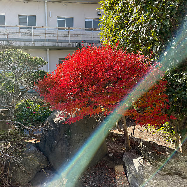 shin0719さんの実例写真