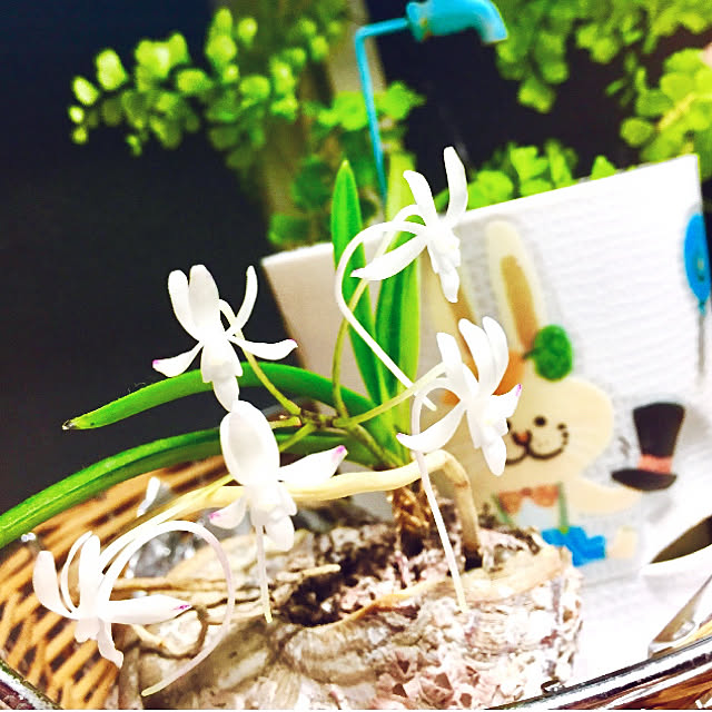 takakoさんの実例写真