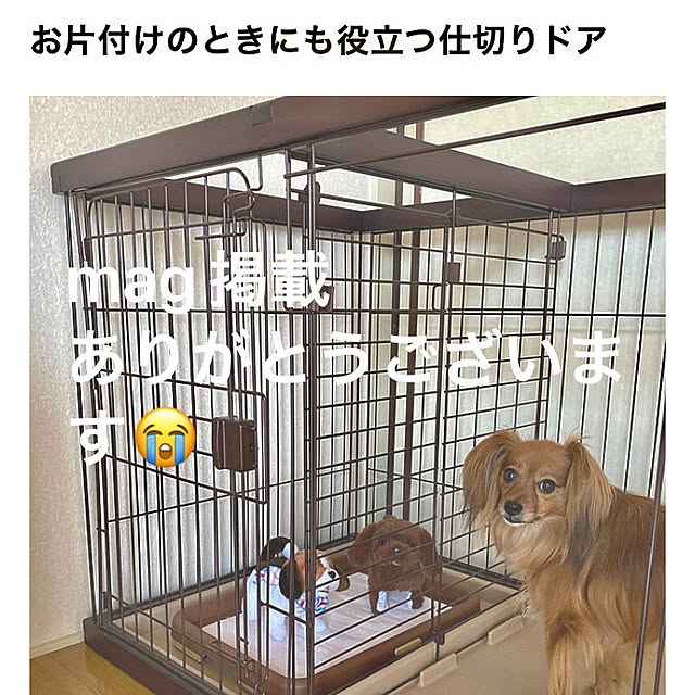 toratanさんの実例写真