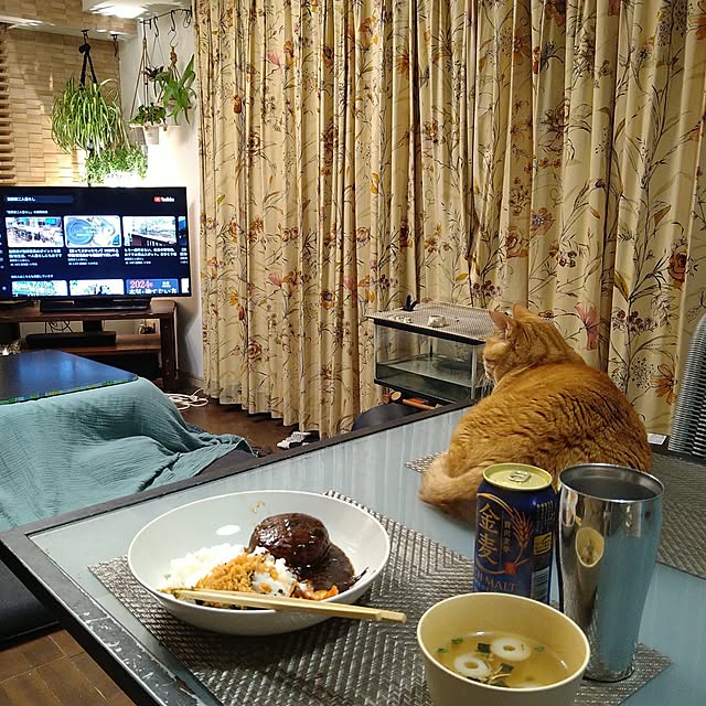 okyosan101さんの実例写真