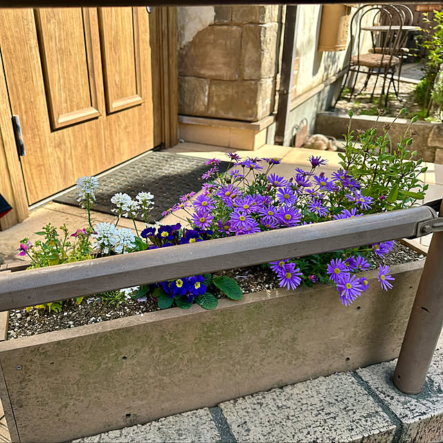 tabasaさんの部屋