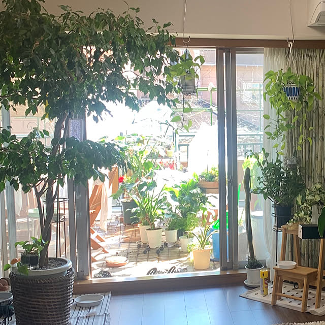 Aqettyさんの部屋