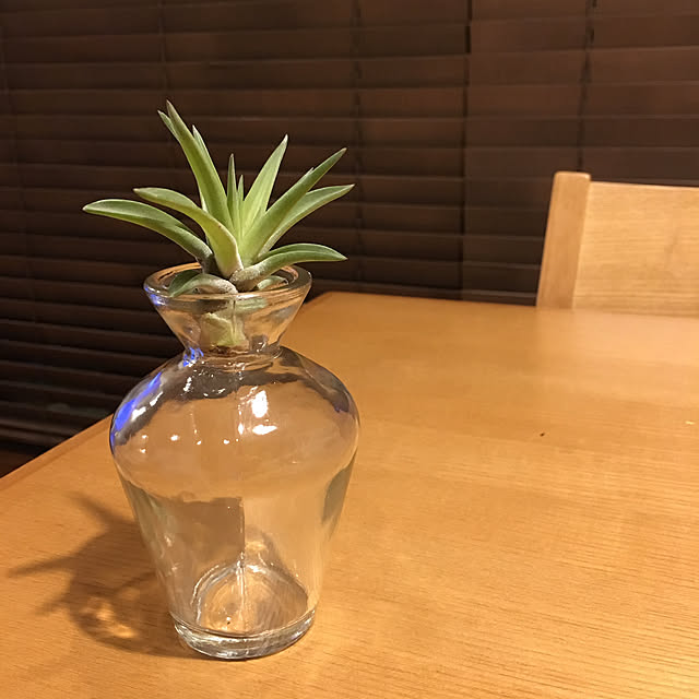 miyuさんの実例写真