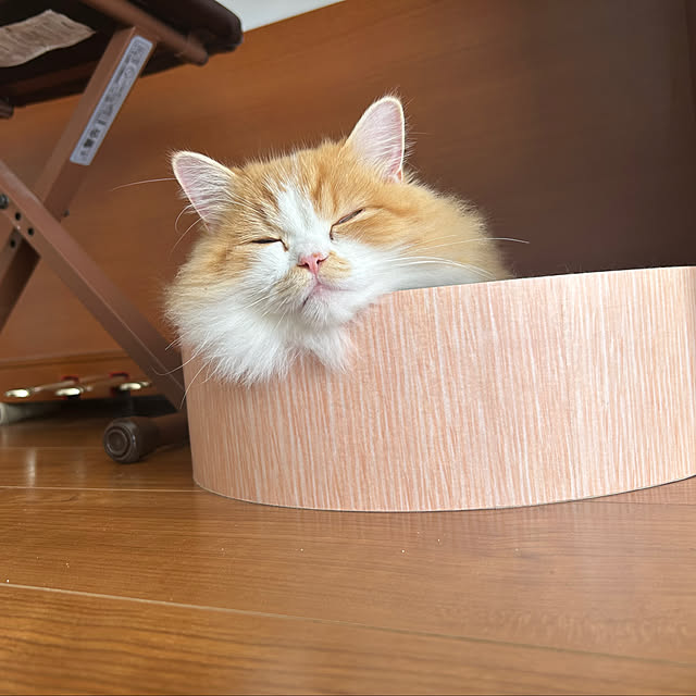 junさんの部屋