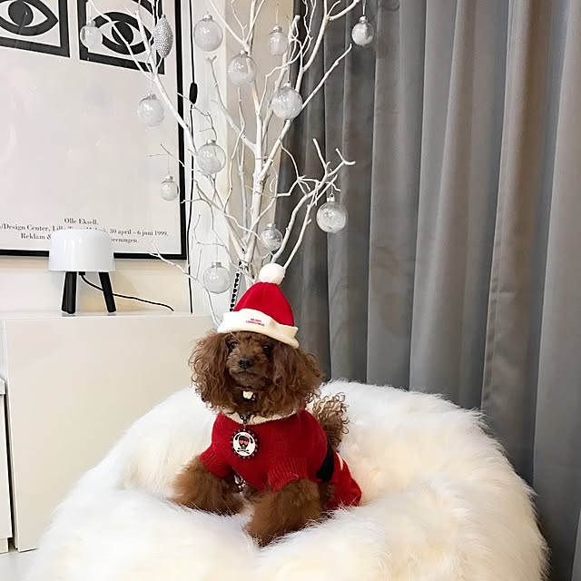 yoshiさんの実例写真